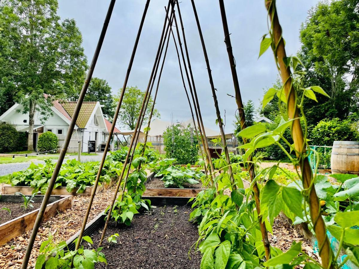 Pod Huisje Met Hottub Dokkum Esterno foto